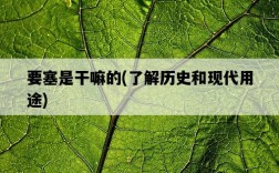 要塞是干嘛的，了解歷史和現代用途