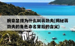 腕豪瑟提為什么叫蔣勁夫，揭秘蔣勁夫的角色命名背后的含義