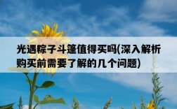 光遇粽子斗篷值得買嗎，深入解析購買前需要了解的幾個問題