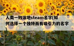 人類一敗涂地steam名字，如何選擇一個獨特而有吸引力的名字