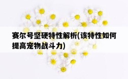 賽爾號堅硬特性解析，該特性如何提高寵物戰斗力