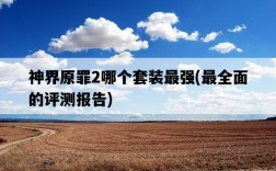 神界原罪2哪個套裝最強，最全面的評測報告