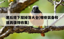 黑石塔下層掉落大全，哪些裝備和道具值得收集