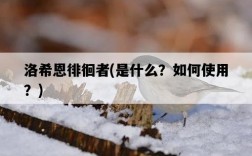 洛希恩徘徊者，是什么？如何使用？