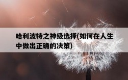 哈利波特之神級選擇，如何在人生中做出正確的決策