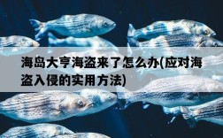 海島大亨海盜來了怎么辦，應對海盜入侵的實用方法