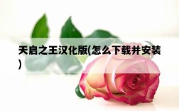 天啟之王漢化版，怎么下載并安裝