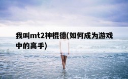 我叫mt2神棍德，如何成為游戲中的高手