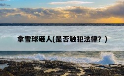 拿雪球砸人，是否觸犯法律？