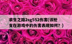 求生之路2sg552傷害，該槍支在游戲中的傷害表現如何？
