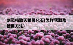 劍靈精致天狼強化石，怎樣獲取及使用方法