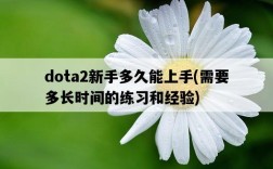 dota2新手多久能上手,需要多長時間的練習和經驗
