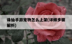 誅仙手游寵物怎么上架，詳細步驟解析