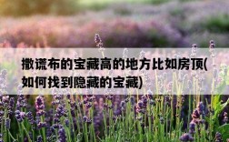 撒謊布的寶藏高的地方比如房頂，如何找到隱藏的寶藏