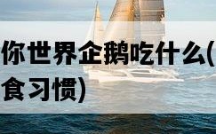 新版迷你世界企鵝吃什么，詳解企鵝的飲食習慣