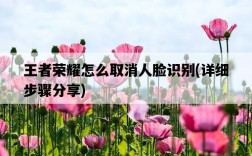 王者榮耀怎么取消人臉識別，詳細步驟分享