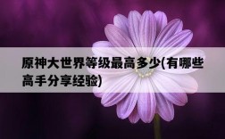 原神大世界等級最高多少，有哪些高手分享經驗