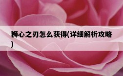 獅心之刃怎么獲得，詳細解析攻略