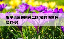 猴子也瘋狂剛開二區，如何快速升級打怪