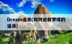 Dream追殺，如何逃脫夢境的追殺