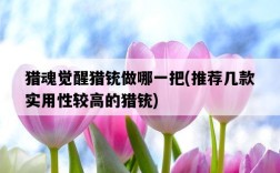 獵魂覺醒獵銃做哪一把，推薦幾款實用性較高的獵銃