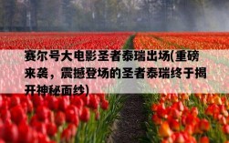 賽爾號大電影圣者泰瑞出場，重磅來襲，震撼登場的圣者泰瑞終于揭開神秘面紗