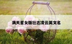 滿天星女版壯志凌云英文名