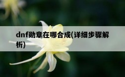 dnf勛章在哪合成，詳細步驟解析