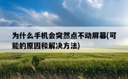 為什么手機會突然點不動屏幕，可能的原因和解決方法