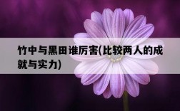 竹中與黑田誰厲害，比較兩人的成就與實力
