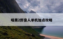 暗黑2野蠻人單機加點攻略