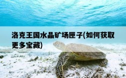 洛克王國水晶礦場匣子，如何獲取更多寶藏
