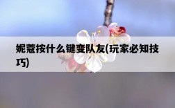 妮蔻按什么鍵變隊友，玩家必知技巧