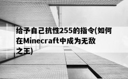 給予自己抗性255的指令，如何在Minecraft中成為無敵之王
