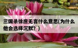 三國殺徐庶無言什么意思，為什么他會選擇沉默？