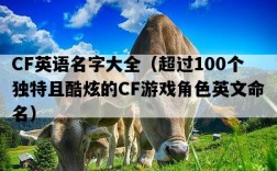 CF英語名字大全（超過100個獨特且酷炫的CF游戲角色英文命名）
