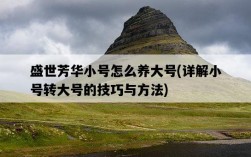 盛世芳華小號怎么養大號，詳解小號轉大號的技巧與方法