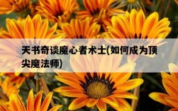 天書奇談魔心者術士，如何成為頂尖魔法師