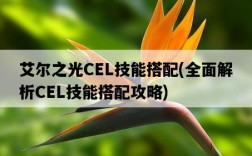 艾爾之光CEL技能搭配，全面解析CEL技能搭配攻略