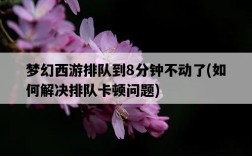夢幻西游排隊到8分鐘不動了，如何解決排隊卡頓問題