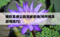 模擬高速公路駕駛游戲，如何提高游戲技巧
