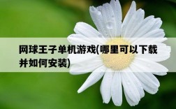 網球王子單機游戲，哪里可以下載并如何安裝