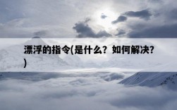 漂浮的指令,是什么?如何解決?