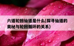 六道輪回仙道是什么，探尋仙道的奧秘與輪回循環的關系