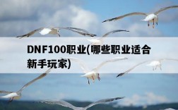 DNF100職業，哪些職業適合新手玩家