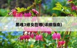 黑魂3修女在哪，詳細指南