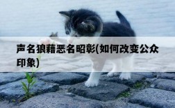 聲名狼藉惡名昭彰，如何改變公眾印象