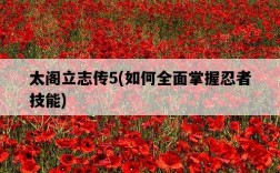 太閣立志傳5，如何全面掌握忍者技能