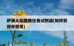 薩滿火焰圖騰任務試劑袋，如何獲得并使用