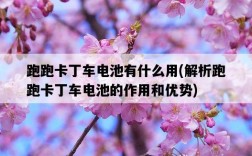 跑跑卡丁車電池有什么用，解析跑跑卡丁車電池的作用和優勢
